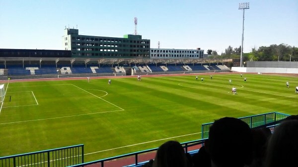 На стадионе "Торпедо" в Таганроге заменят газон